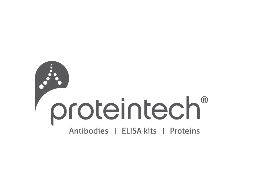 150ul, Dynamitin (69-376 AA), PolyAb, dynactin 2 (p50)